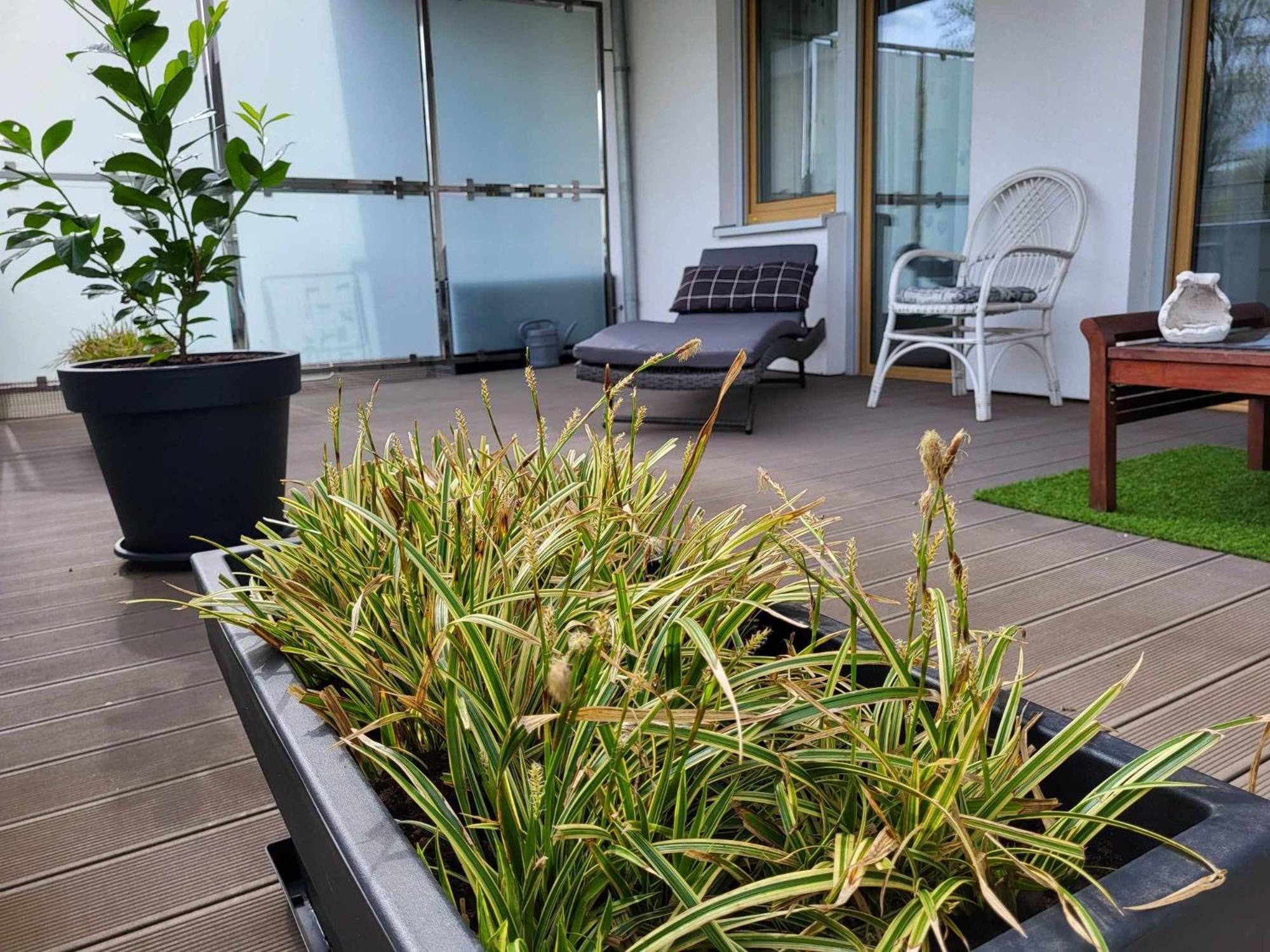 Miodowy Dom Exspanse Apartament 2 Lub 3 Pokoje Z Tarasem I Parkingiem โควอบเซก ภายนอก รูปภาพ